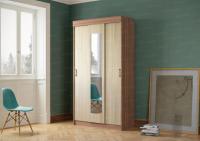 Шкаф-купе-ЭКО-ясень-шимо